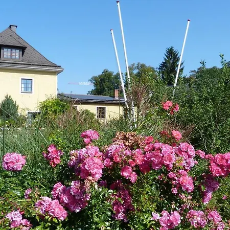 Cityhostel Vandrarhem Wieselburg