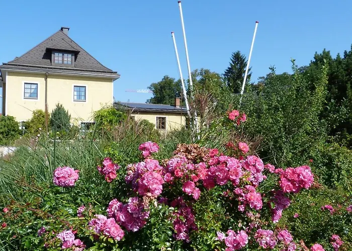 Cityhostel Hostel Wieselburg